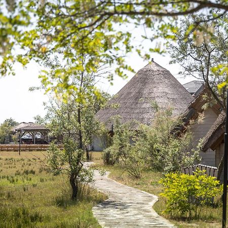 Dolphin Camping Sfantu Gheorghe  Exterior photo