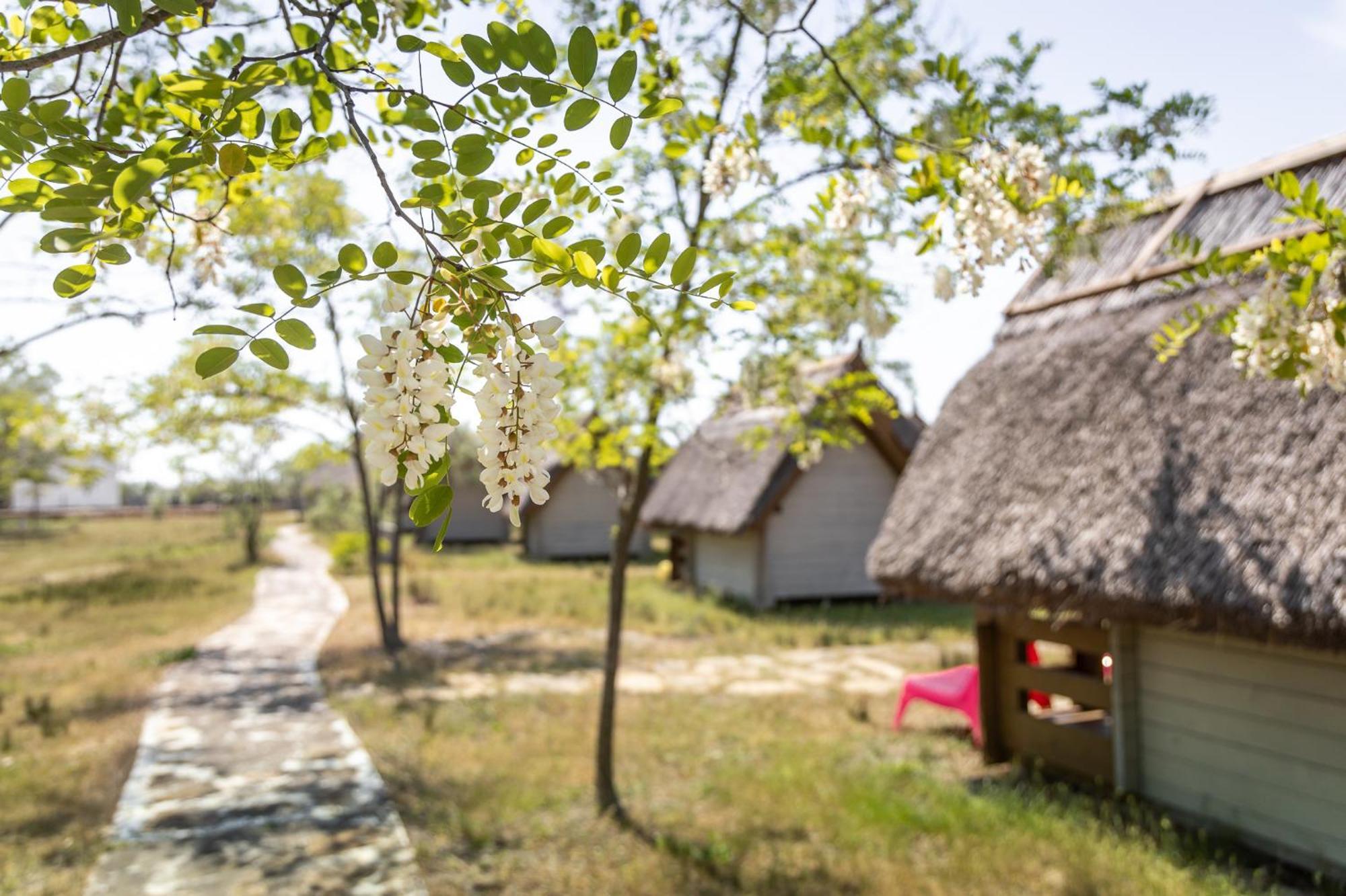 Dolphin Camping Sfantu Gheorghe  Exterior photo