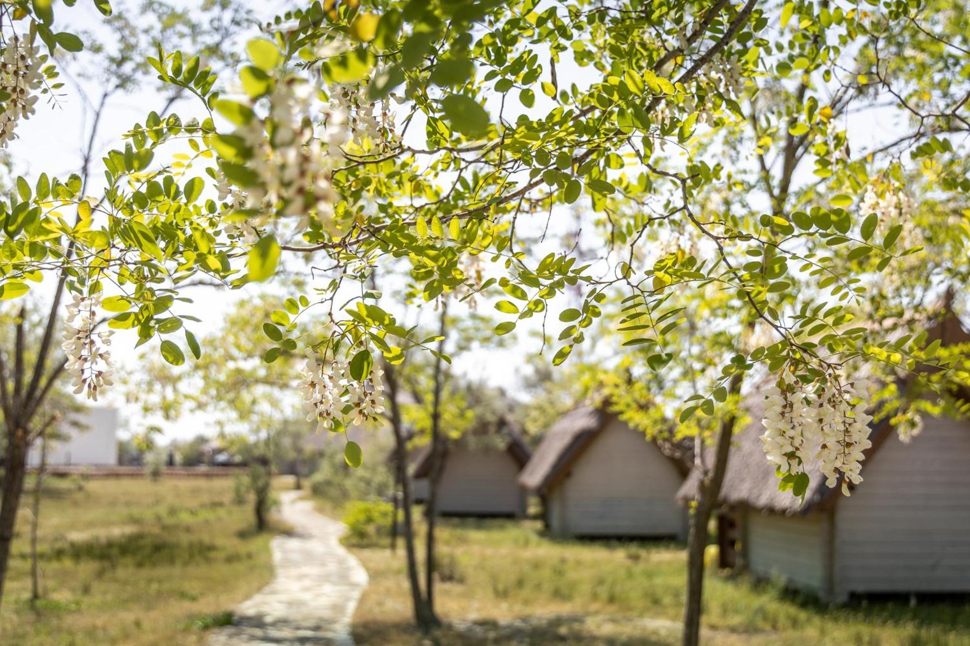Dolphin Camping Sfantu Gheorghe  Exterior photo