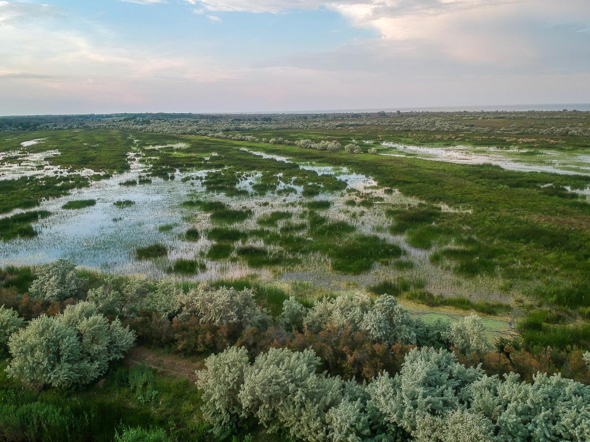 Dolphin Camping Sfantu Gheorghe  Exterior photo